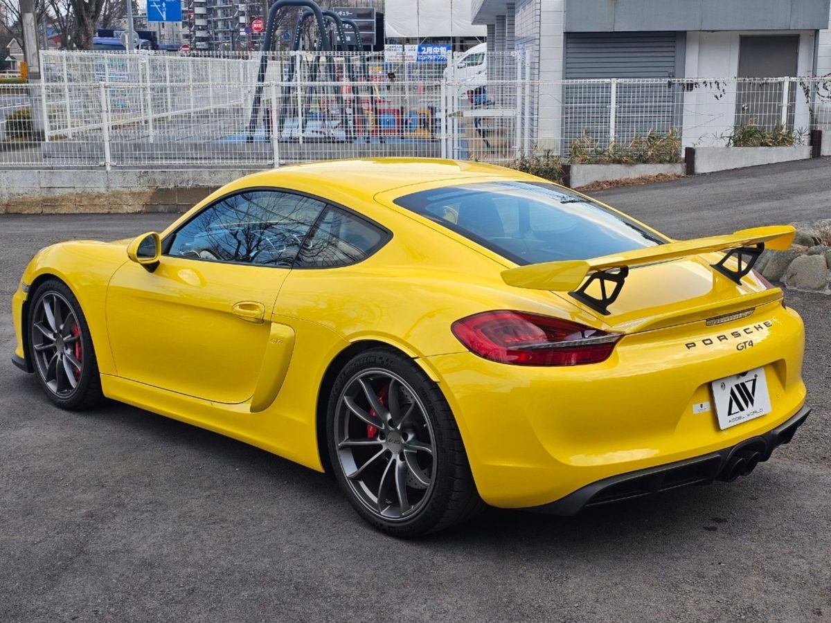 2015 Porsche Cayman GT4 — Photo 5 / 20