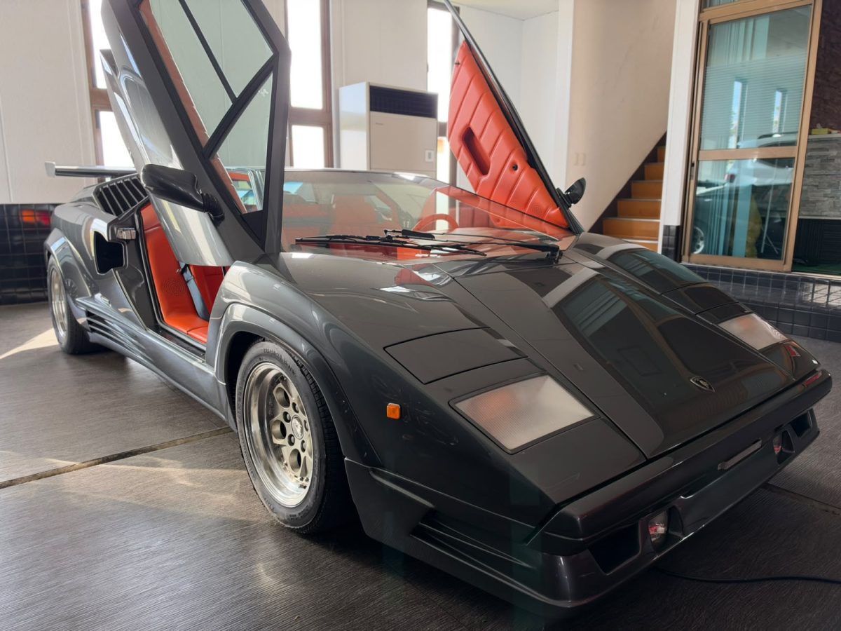 1990 Lamborghini Countach Anniversary Edition — Photo 5 / 15