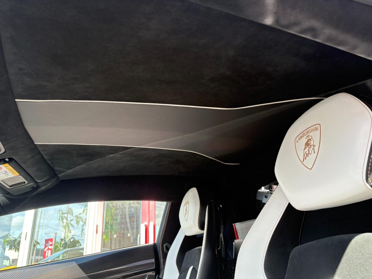 2019 Lamborghini Aventador SVJ — Photo 15 / 17
