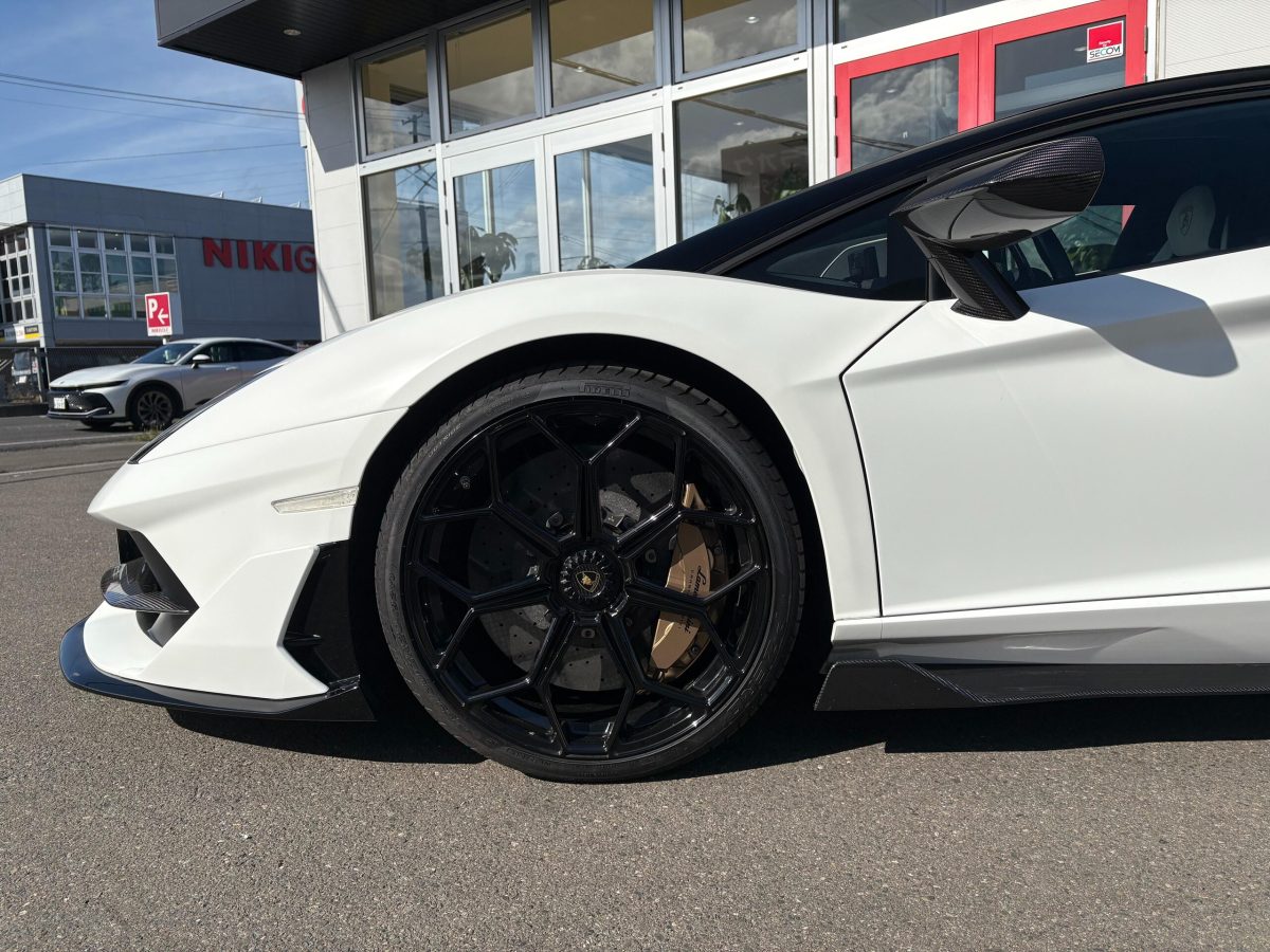 2019 Lamborghini Aventador SVJ — Photo 16 / 17