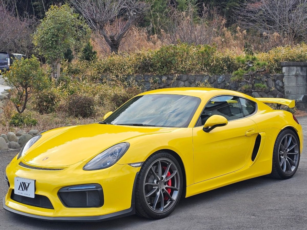 2015 Porsche Cayman GT4 — Photo 2 / 20