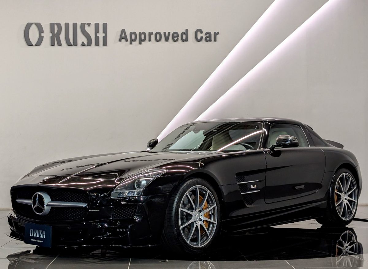 2010 Mercedes Benz SLS AMG — Photo 2 / 19
