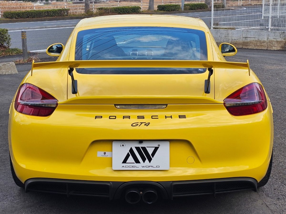 2015 Porsche Cayman GT4 — Photo 3 / 20