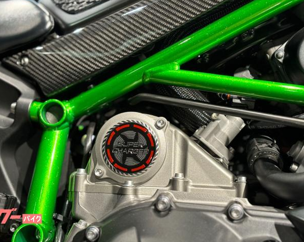 2021 Other Kawasaki Ninja H2 Carbon — Photo 22 / 23