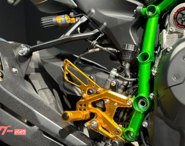 2021 Other Kawasaki Ninja H2 Carbon — Photo 23 / 23