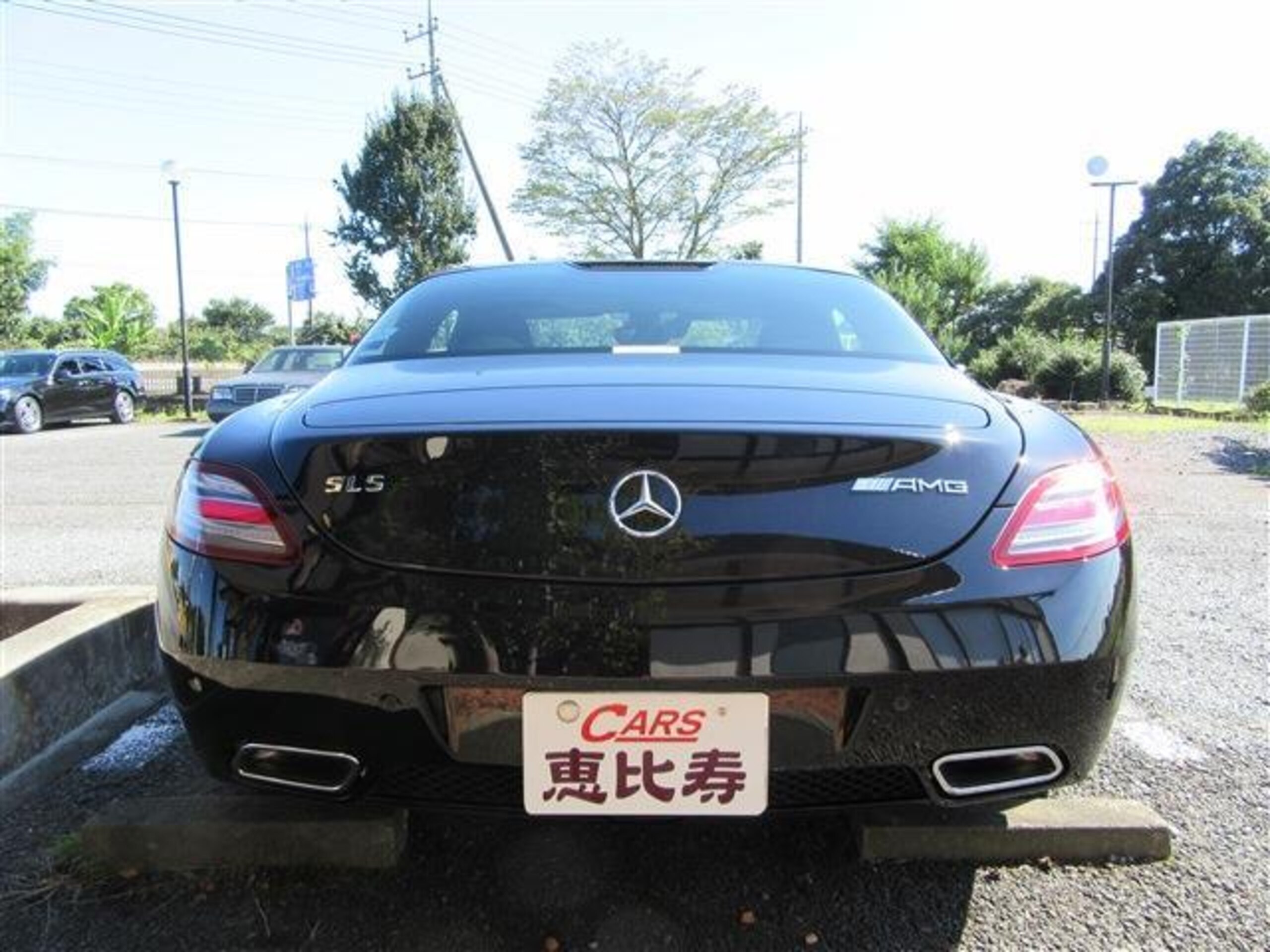 2011 Mercedes Benz SLS AMG — Photo 6 / 13