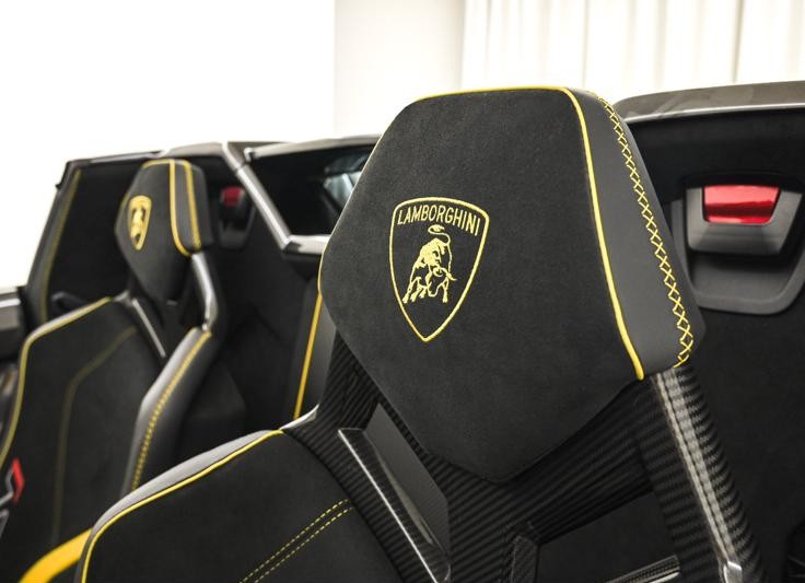 2020 Lamborghini Aventador SVJ Roadster — Photo 18 / 28