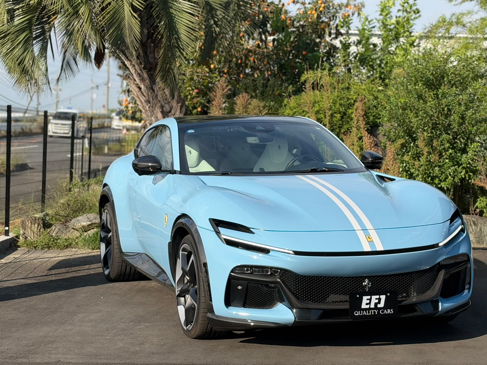 2024 Ferrari Purosangue — Photo 12 / 20