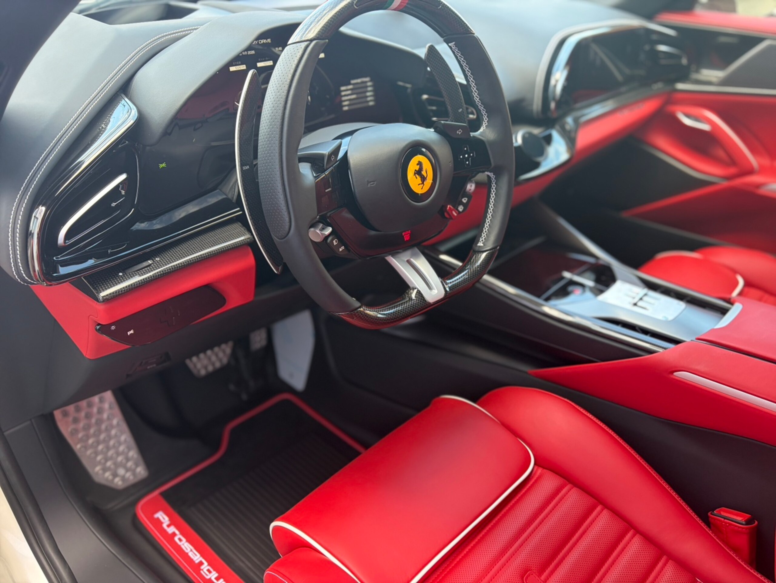 2025 Ferrari Purosangue — Photo 8 / 36