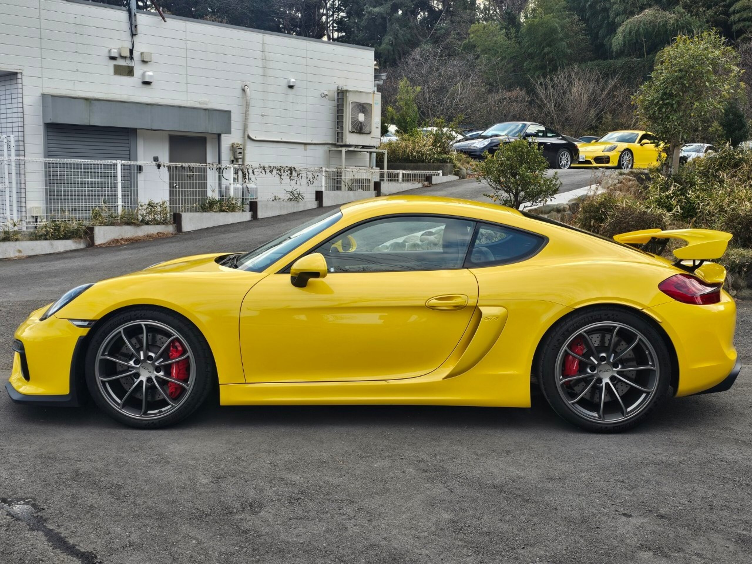 2015 Porsche Cayman GT4 — Photo 6 / 20