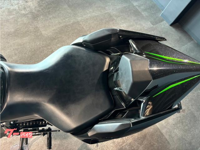 2017 Other Kawasaki Ninja H2 Carbon — Photo 8 / 17