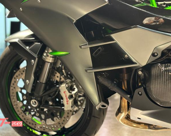 2021 Other Kawasaki Ninja H2 Carbon — Photo 18 / 23
