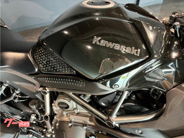 2017 Other Kawasaki Ninja H2 Carbon — Photo 7 / 17