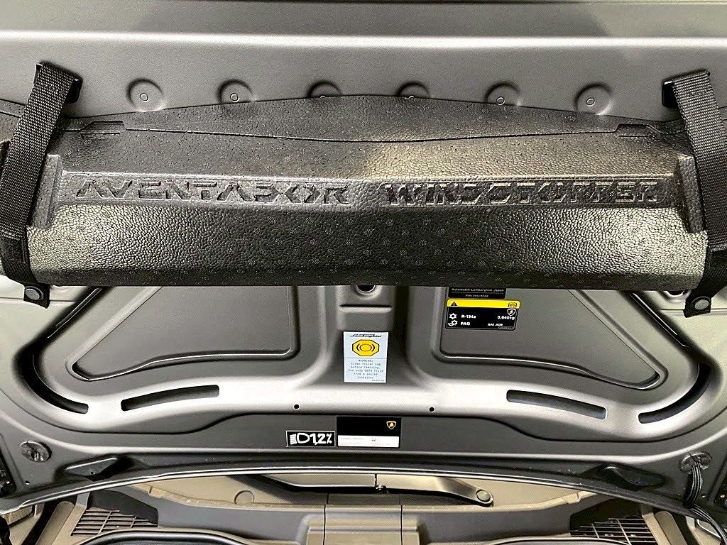 2020 Lamborghini Aventador SVJ Roadster — Photo 24 / 24