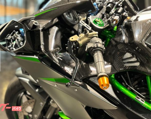 2021 Other Kawasaki Ninja H2 Carbon — Photo 13 / 23