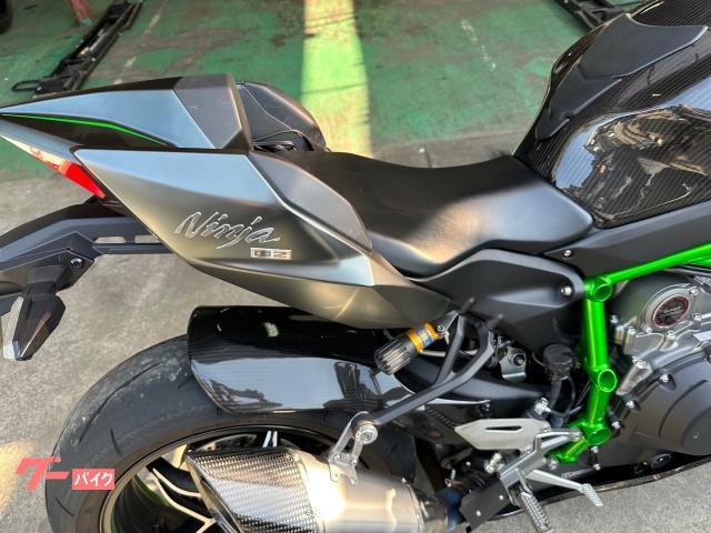 2021 Other Kawasaki Ninja H2 Carbon — Photo 6 / 8
