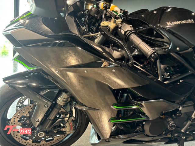 2017 Other Kawasaki Ninja H2 Carbon — Photo 9 / 17