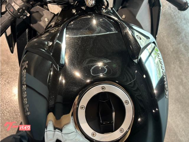 2017 Other Kawasaki Ninja H2 Carbon — Photo 6 / 17