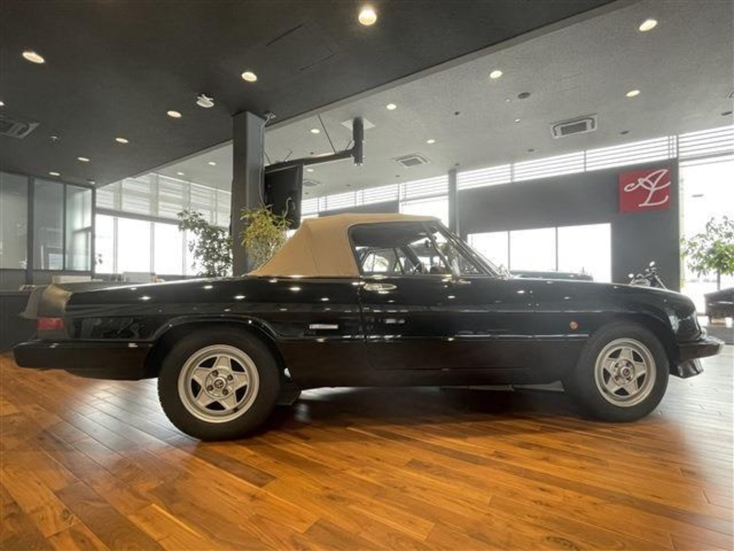 1987 Alfa Romeo Spider — Photo 7 / 11