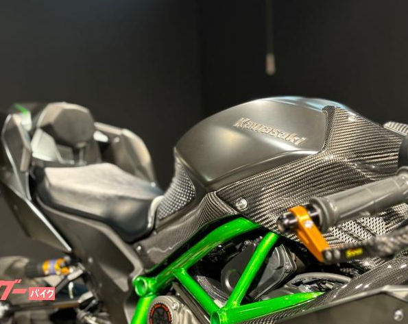 2021 Other Kawasaki Ninja H2 Carbon — Photo 11 / 23