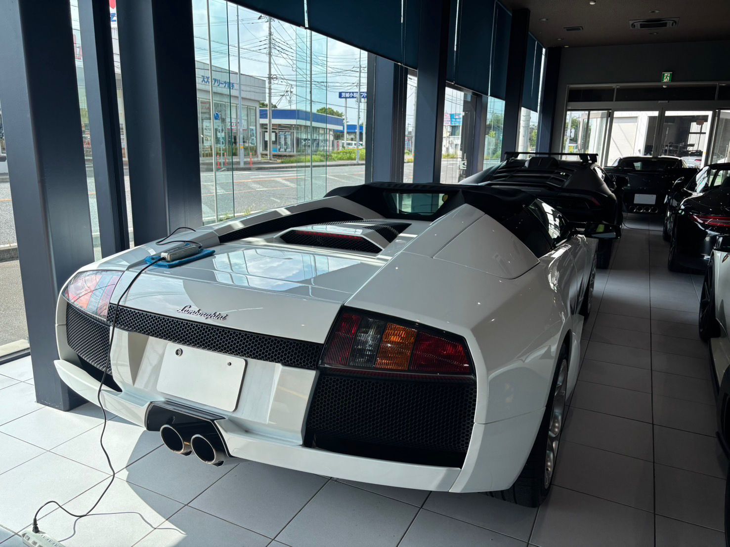 2005 Lamborghini Murcielago Roadster for sale in Japan