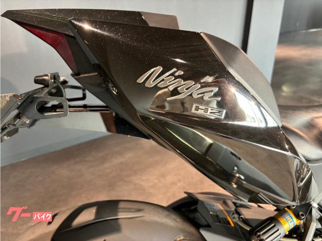2017 Other Kawasaki Ninja H2 Carbon — Photo 11 / 17