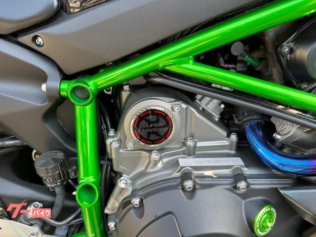2021 Other Kawasaki Ninja H2 Carbon — Photo 8 / 8